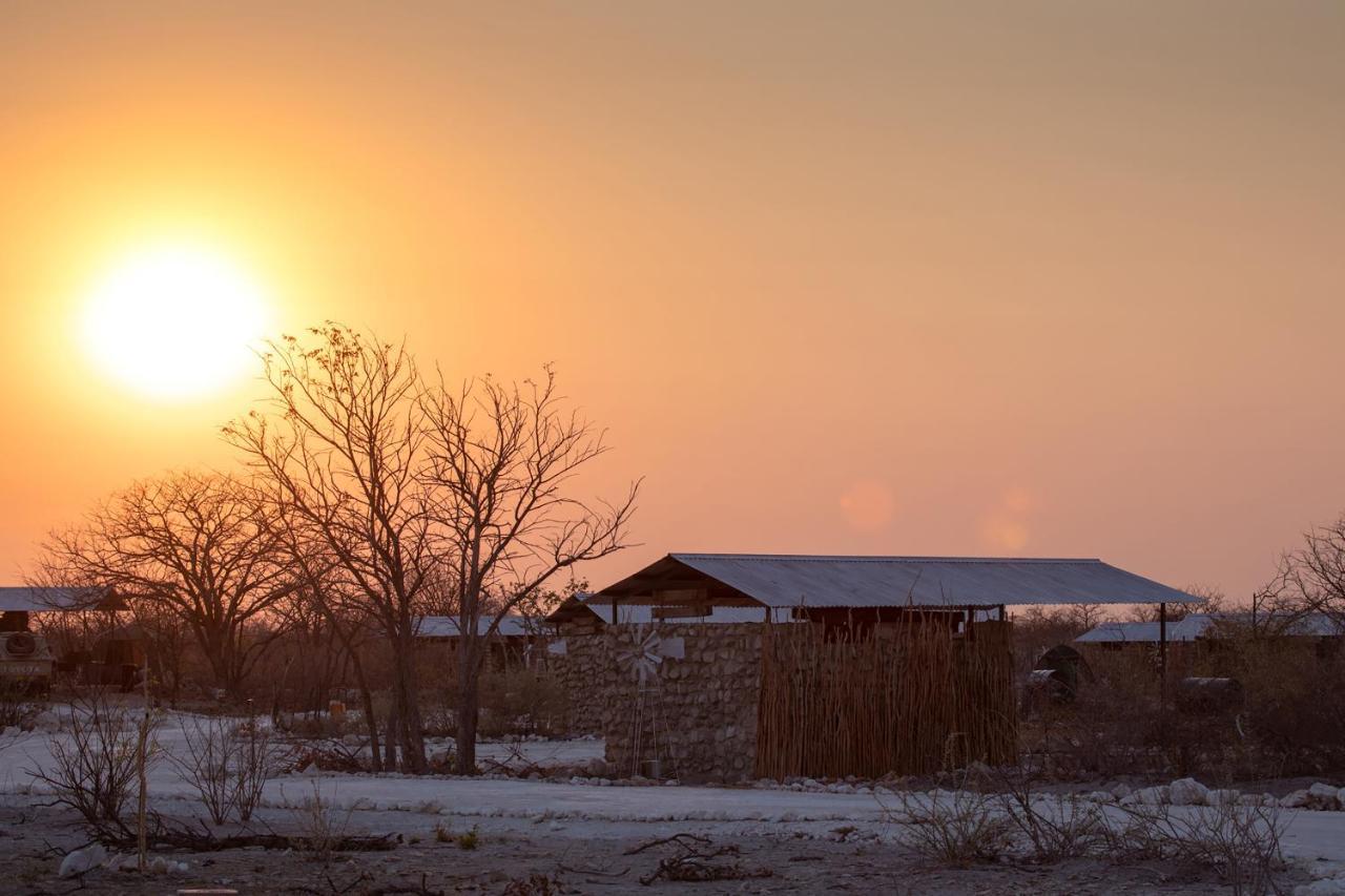 Etosha Trading Post Campsite Okaukuejo Exteriér fotografie